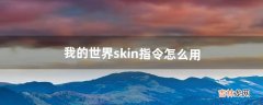 我的世界skin指令怎么用（我的世界指令键盘怎么用)