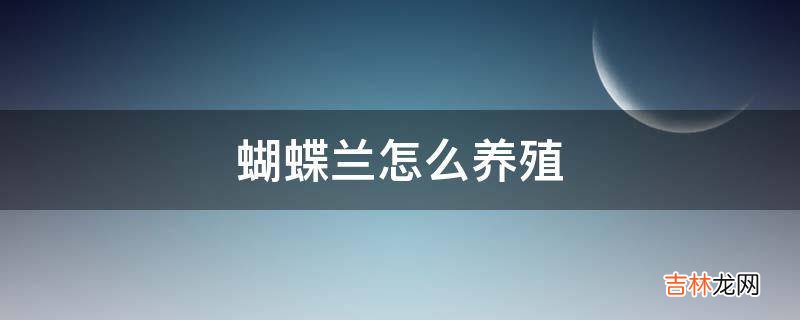 蝴蝶兰怎么养殖?