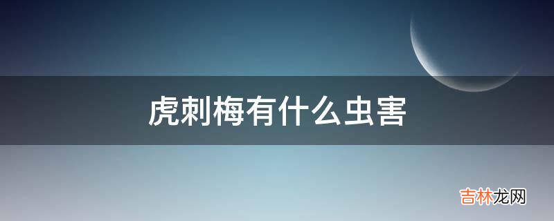 虎刺梅有什么虫害?