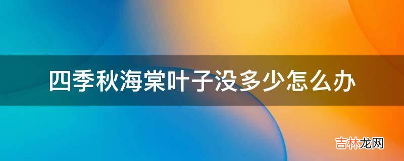 四季秋海棠叶子没多少怎么办?