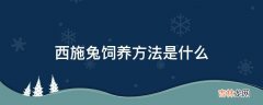 西施兔饲养方法是什么?