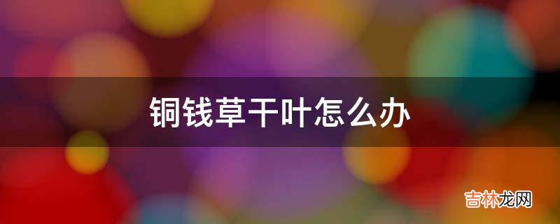 铜钱草干叶怎么办?