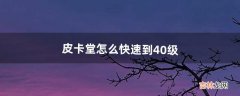 皮卡堂怎么快速到40级（皮卡堂怎么刷经验)