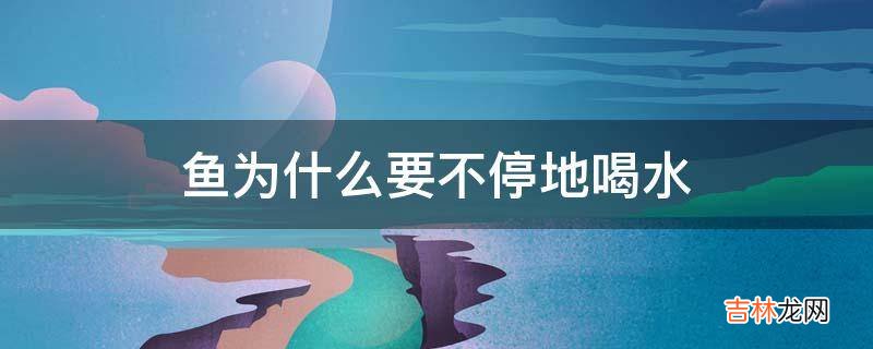 鱼为什么要不停地喝水?