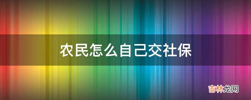 农民怎么自己交社保?