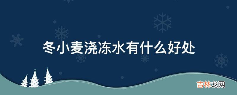 冬小麦浇冻水有什么好处?