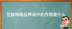 左旋咪唑在养鸡中的作用是什么?