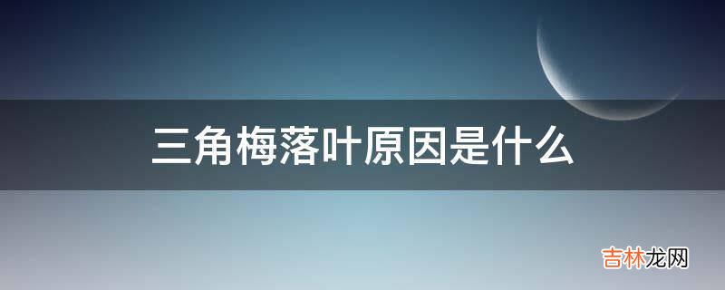 三角梅落叶原因是什么?