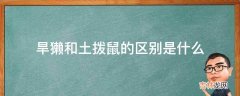 旱獭和土拨鼠的区别是什么?