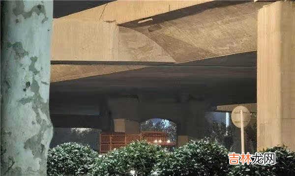 vivox60pro+拍照样张_vivox60pro+拍照评测