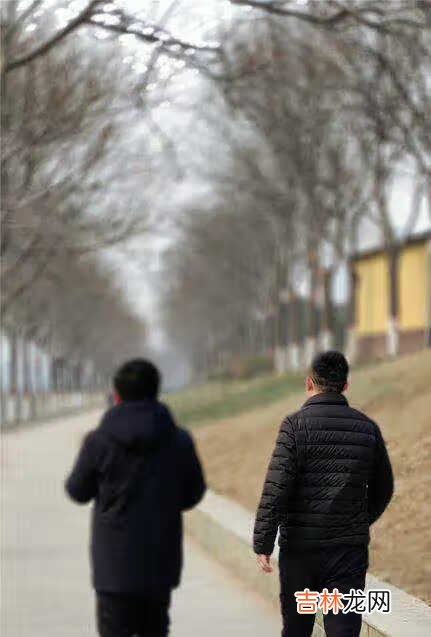 vivox60pro+拍照样张_vivox60pro+拍照评测