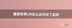 魔兽世界LM怎么去巴拉丁监狱（魔兽世界监狱打法)