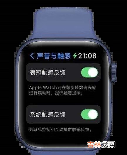 watchOS8正式版更新内容_watchOS8正式版更新了什么