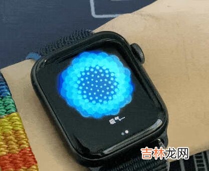 watchOS8正式版更新内容_watchOS8正式版更新了什么