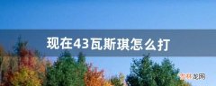 现在4.3瓦斯琪怎么打（瓦斯琪近战攻略)