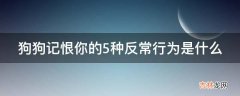 狗狗记恨你的5种反常行为是什么?