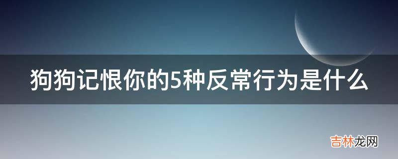 狗狗记恨你的5种反常行为是什么?