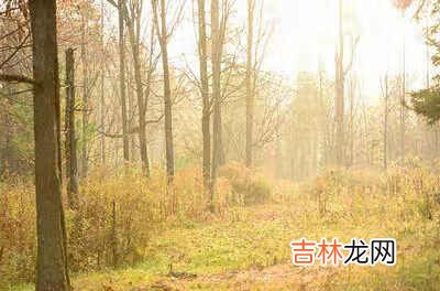 中国的战机歼.20世界排名第机 中国战机歼排名