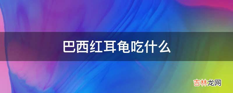 巴西红耳龟吃什么?