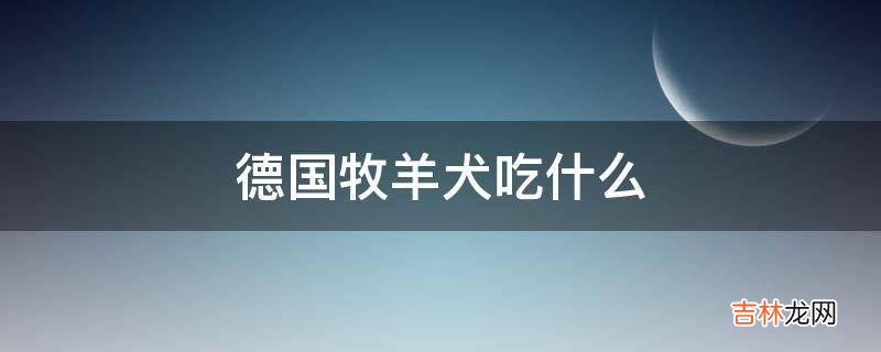 德国牧羊犬吃什么?