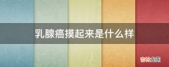 乳腺癌摸起来是什么样?