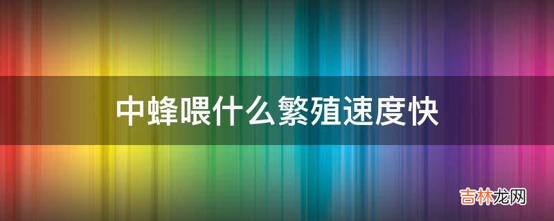 中蜂喂什么繁殖速度快?