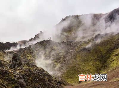 南通的狗市在哪里啊 南通狗市场在哪里