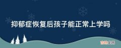 抑郁症恢复后孩子能正常上学吗?