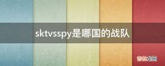 sktvsspy是哪国的战队?