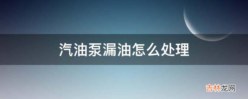 汽油泵漏油怎么处理?