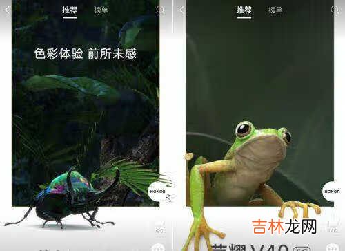 荣耀v40和华为nova8哪个好_荣耀v40和华为nova8性价比