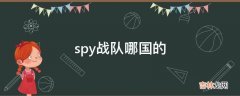 spy战队哪国的?