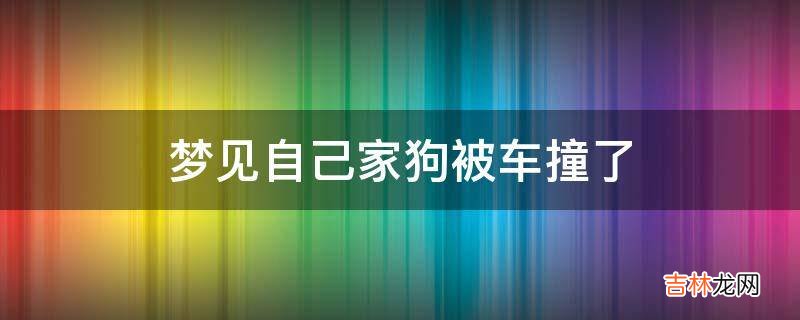 梦见自己家狗被车撞了?