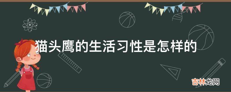 猫头鹰的生活习性是怎样的?