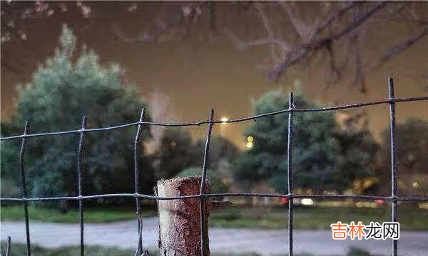 vivox60pro+拍照评测_vivox60pro+拍照效果怎么样