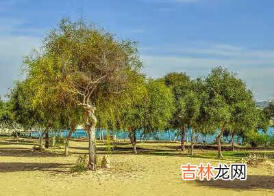 怎样提前还房贷 住房贷款怎么还