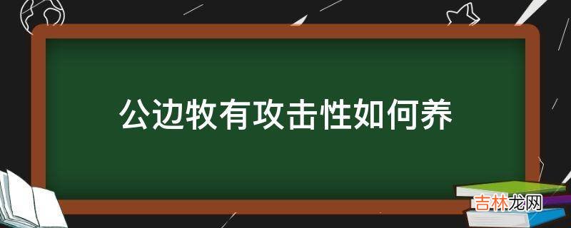 公边牧有攻击性如何养?