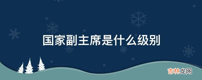 国家副主席是什么级别?