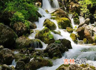 12306抢票攻略 网上抢票攻略