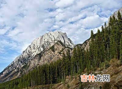 12306抢票攻略 网上抢票攻略