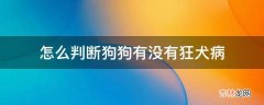 怎么判断狗狗有没有狂犬病?