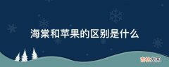 海棠和苹果的区别是什么?