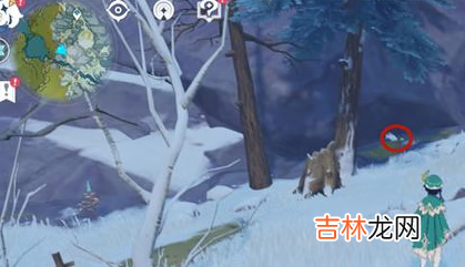 原神雪狐具体刷新点