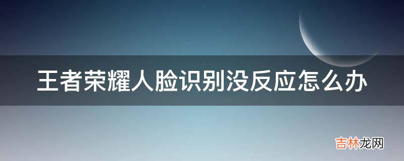 王者荣耀人脸识别没反应怎么办?