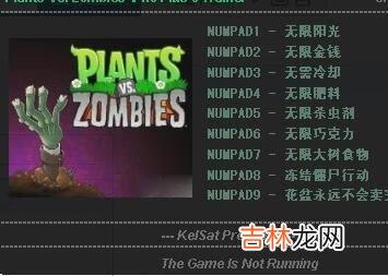 植物大战僵尸中文版修改器怎么用啊(植物大战僵尸怎么修改身份证)
