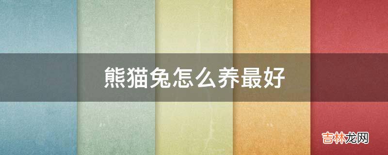 熊貓兔怎麽養最好?