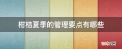 柑桔夏季的管理要点有哪些?