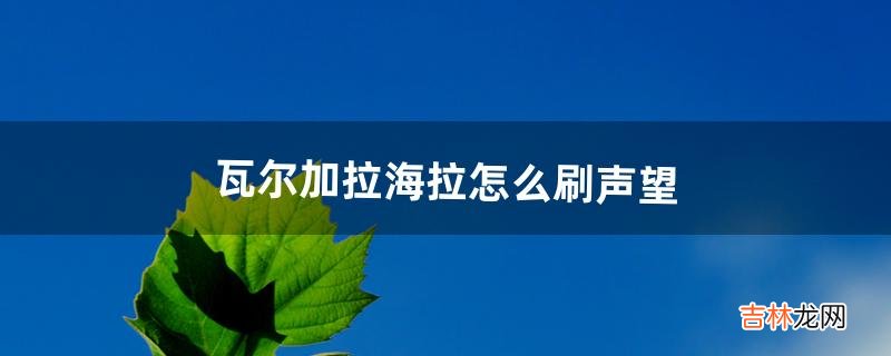 瓦尔加拉海拉怎么刷声望(瓦尔加拉声望有什么好处)