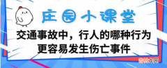 交通事故中，行人的哪种行为更容易发生伤亡事件