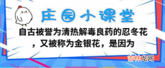 支付宝蚂蚁庄园12月1日问题答案